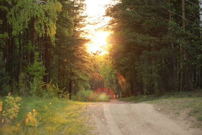 Природа Беларуси для катания на квадроциклах - квадроциклы напрокат